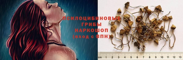 скорость Новокубанск